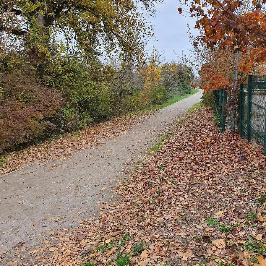 Appartement Colomiers belle vue proche des commodités avec piscine résidentielle